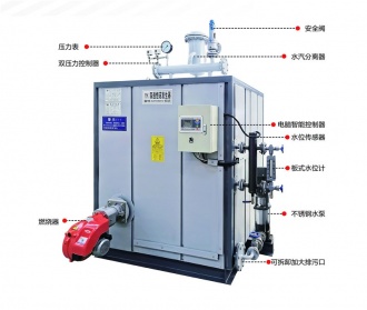 臥式燃氣蒸汽發生（shēng）器